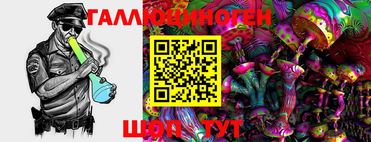 Ярцево  дарнет шоп  Вход с VPN  Галлюциногенные грибы Psilocybe 